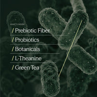 LIST/OF Daily Gut Reset gut health supplement ingredients