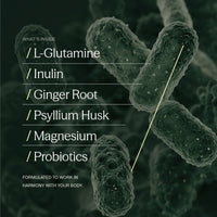 Daily Gut Reset
